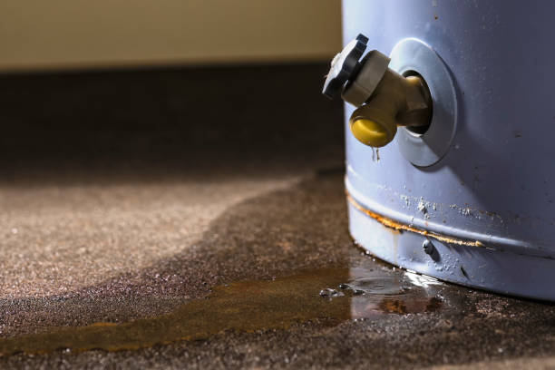 Best Water damage restoration mold remediation  in West Springfield, VA