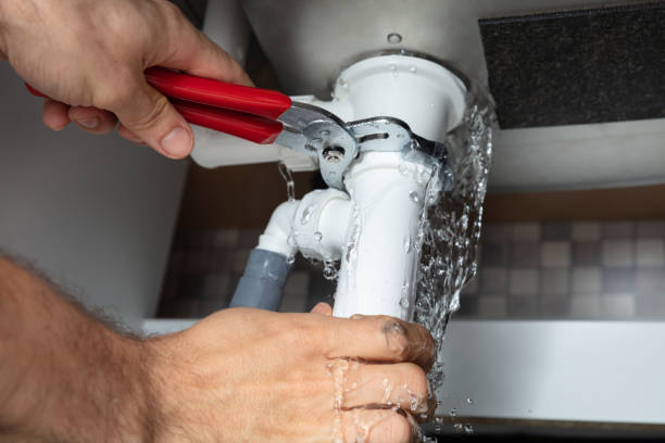 Best Professional water damage repair  in West Springfield, VA