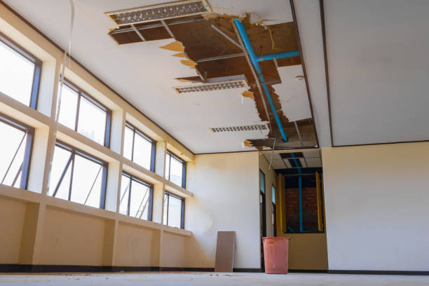 Local water damage restoration in West Springfield, VA