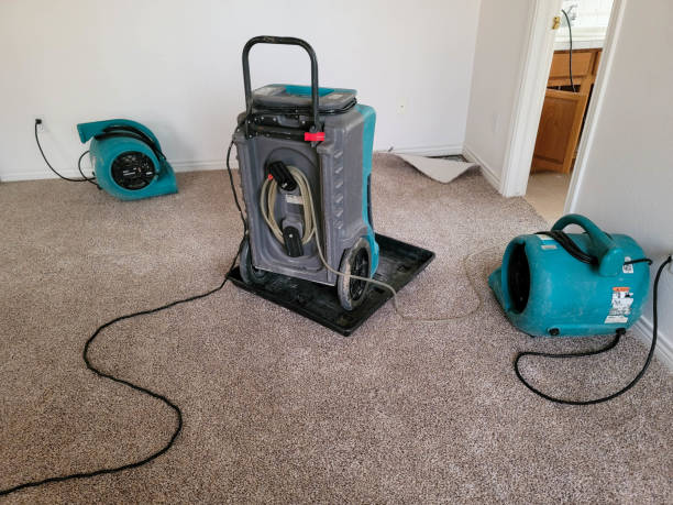 Reliable West Springfield, VA Water damage restoration Solutions