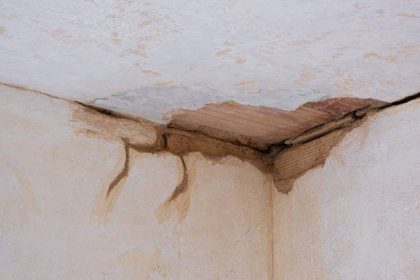 Best Local water damage restoration  in West Springfield, VA