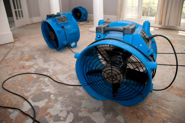 Best Residential water damage restoration  in West Springfield, VA