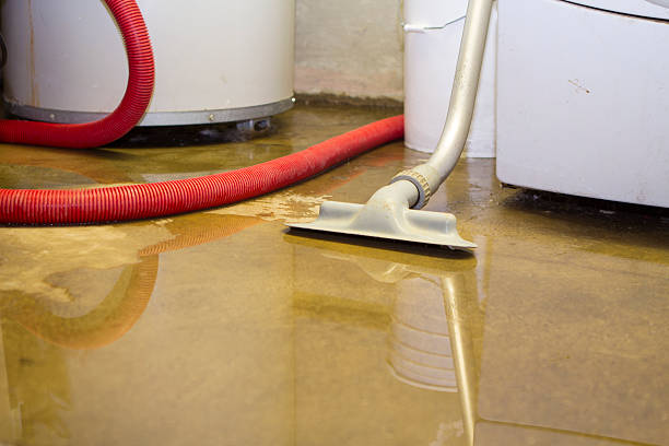 Best Sewage cleanup and water damage restoration  in West Springfield, VA