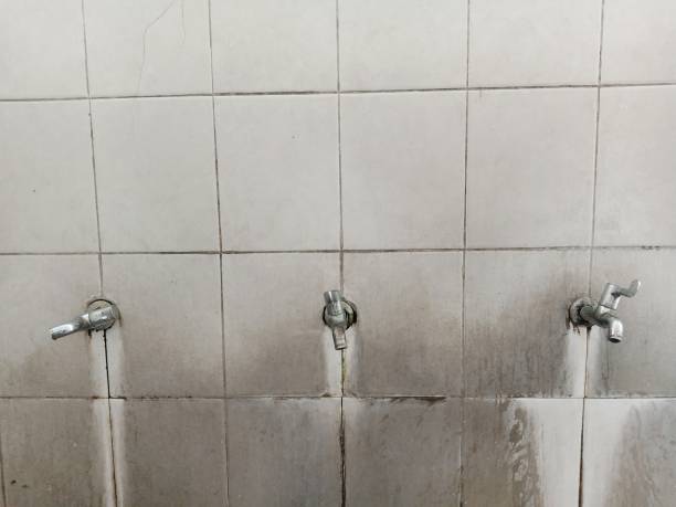 Best Emergency water damage restoration  in West Springfield, VA