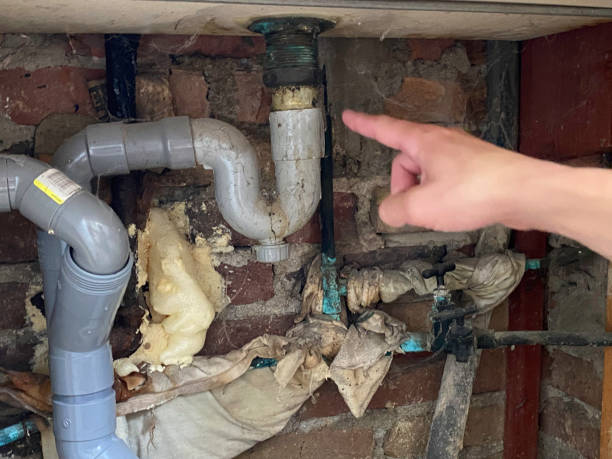 Best Ceiling water damage repair  in West Springfield, VA