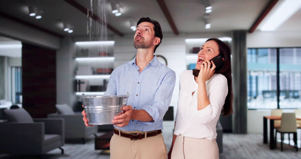 Best Fire Damage Restoration  in West Springfield, VA